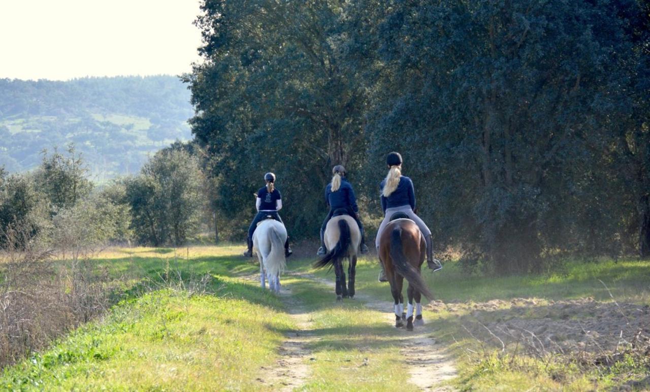 Quinta Da Varzea Raposa Dış mekan fotoğraf